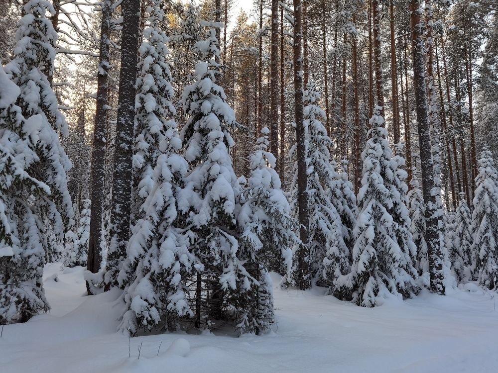 Photograph by Alexandr