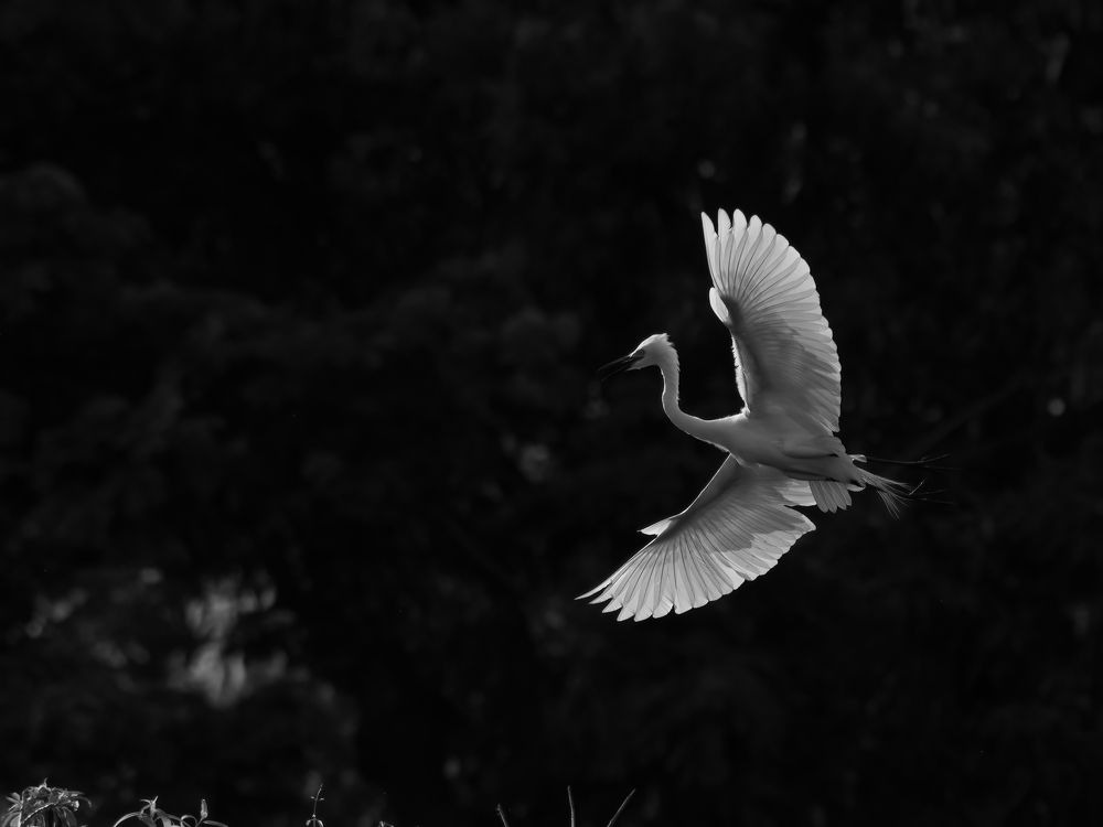 Фотография автора Anandhu M