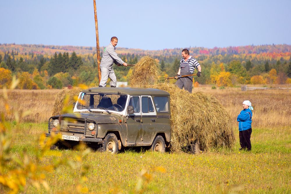 Photograph by Александр Кузнецов