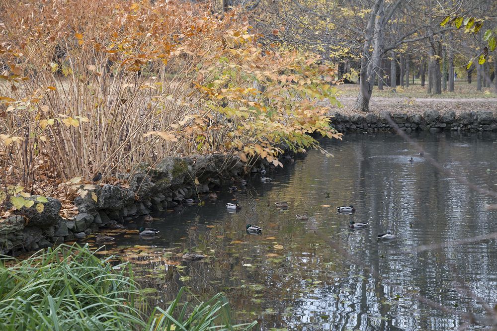 Photograph by Юрий Тараненко