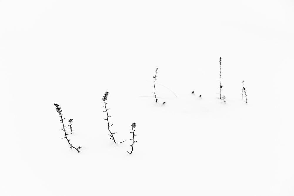 Photograph by Normunds Kaprano