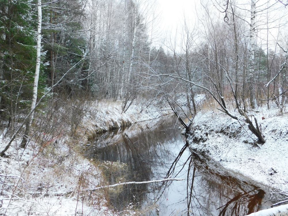 Photograph by Вячеслав Вольгин