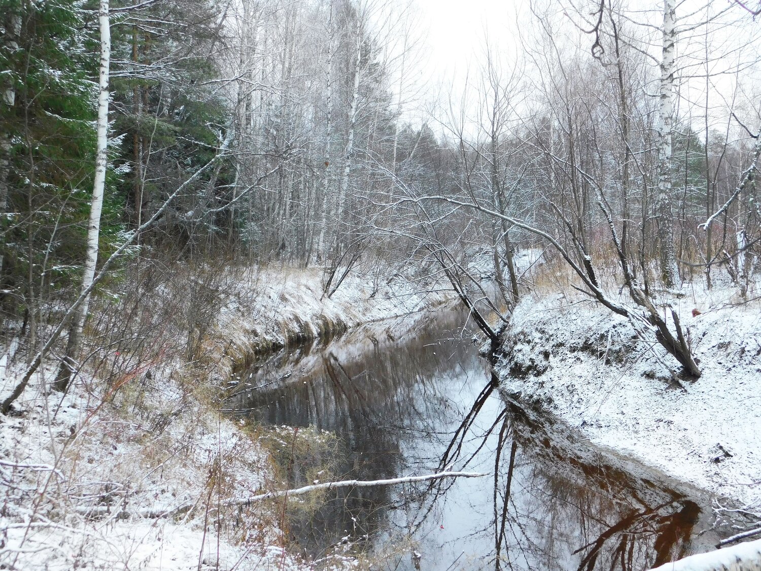 Photo #8627972