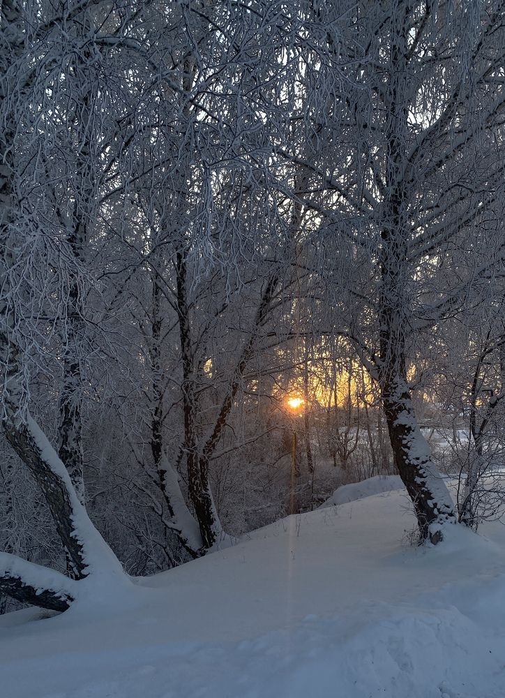 Photograph by Швай Наталья