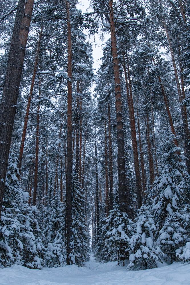 Photograph by Роман