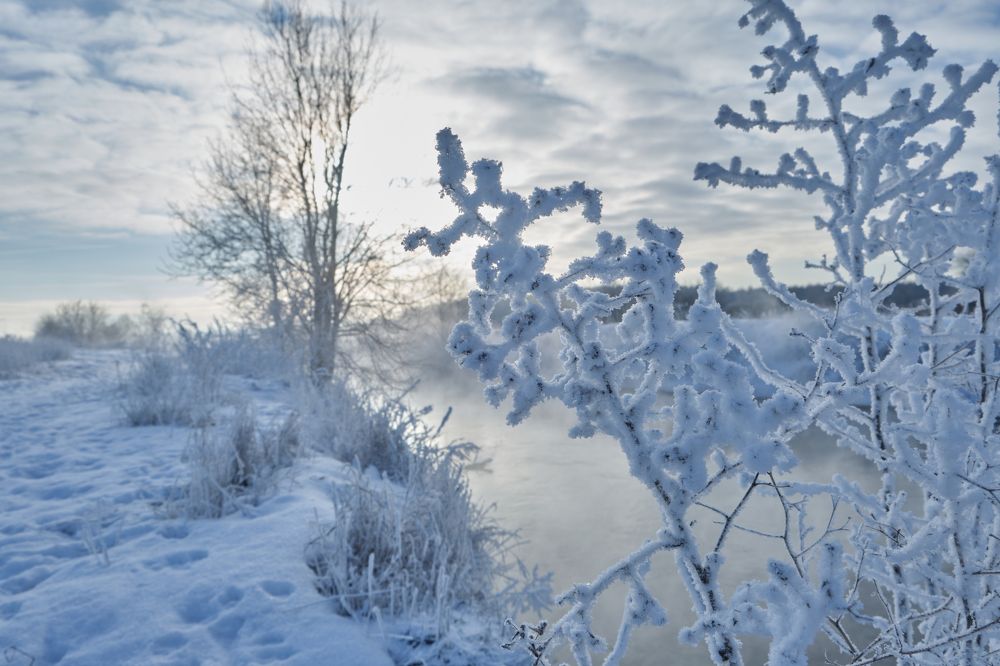 Photograph by Василий Арлашов