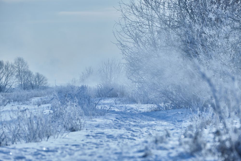 Photograph by Василий Арлашов