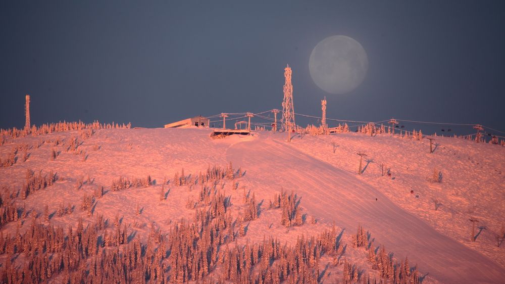 Розовый рассвет