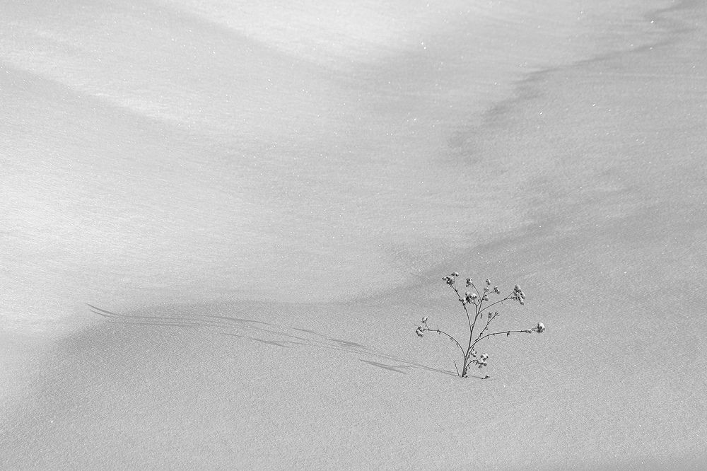 Photograph by Павел