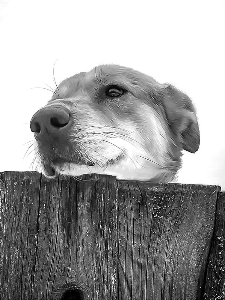 Photograph by Александр Деркач