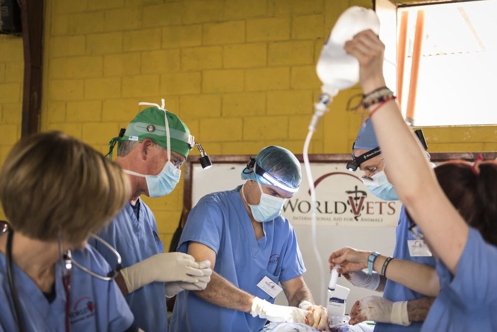 Photograph by Camilo Sarti