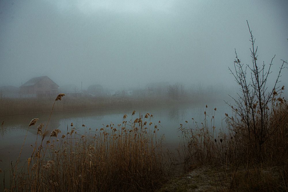 Photograph by Елена Суханкина