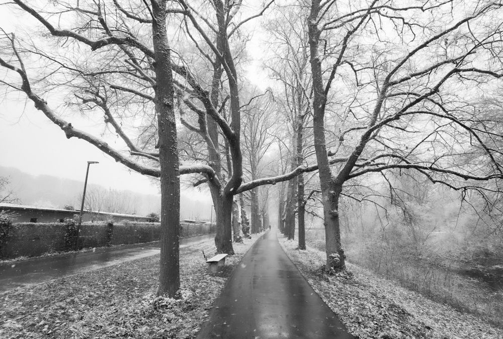 Photograph by Eva Wiedemann