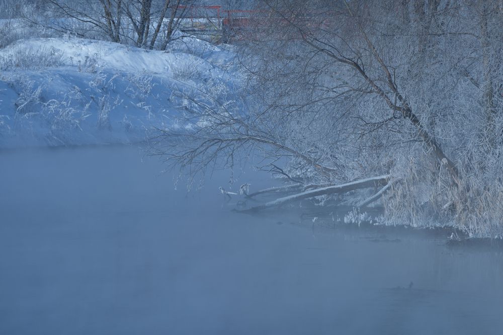 Photograph by Василий Арлашов