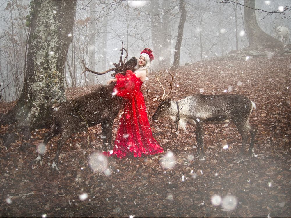 Photograph by Studio AlVi