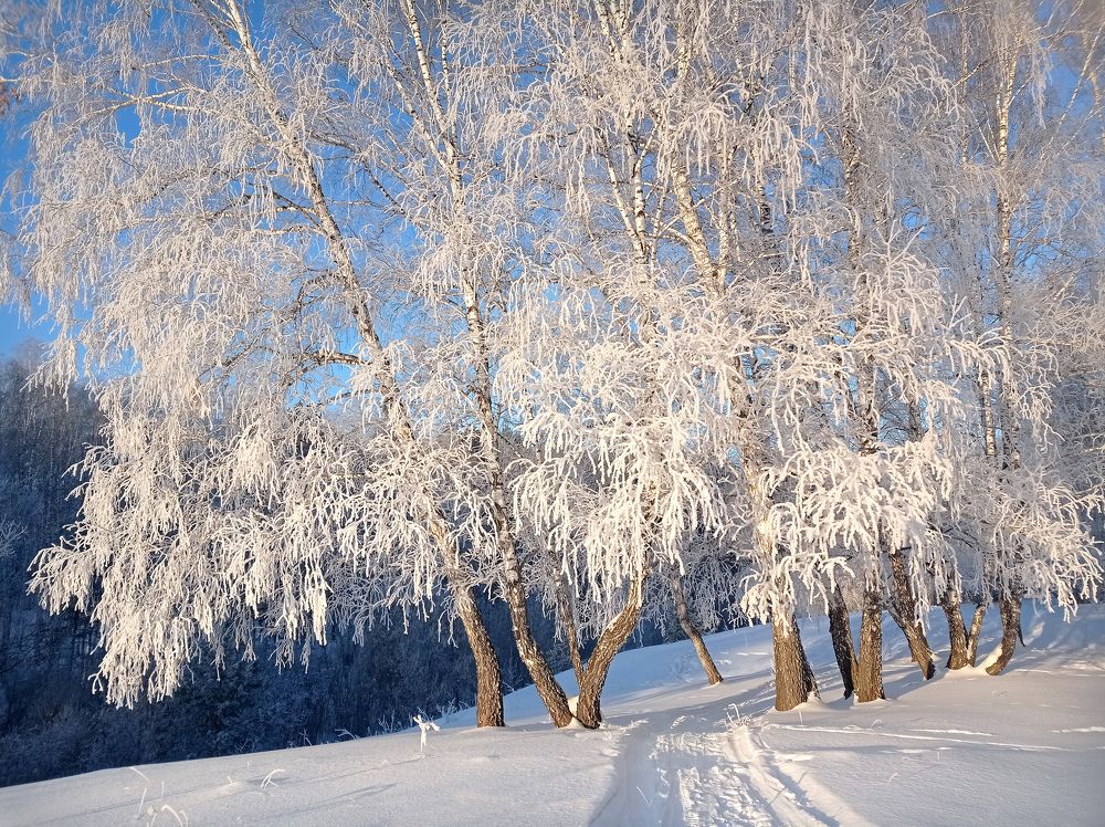 Фотография автора Кухта Мария