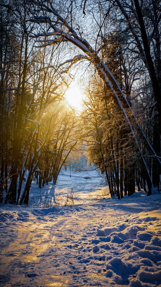 Фотография автора Slim Soyadi