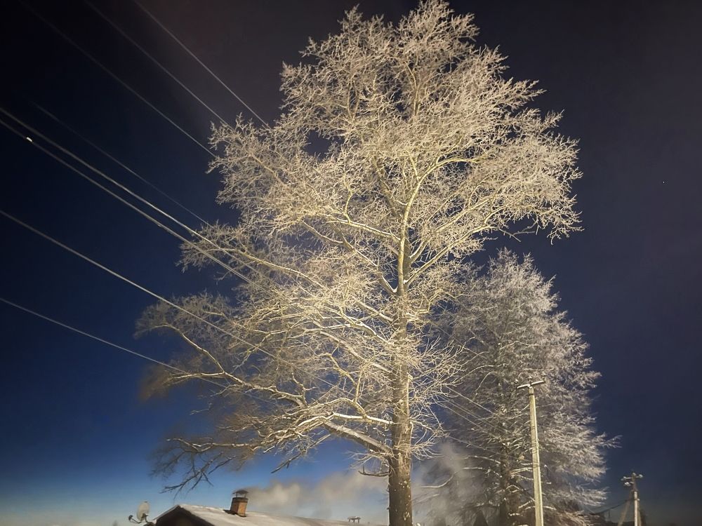 Photograph by Наталья Сережко