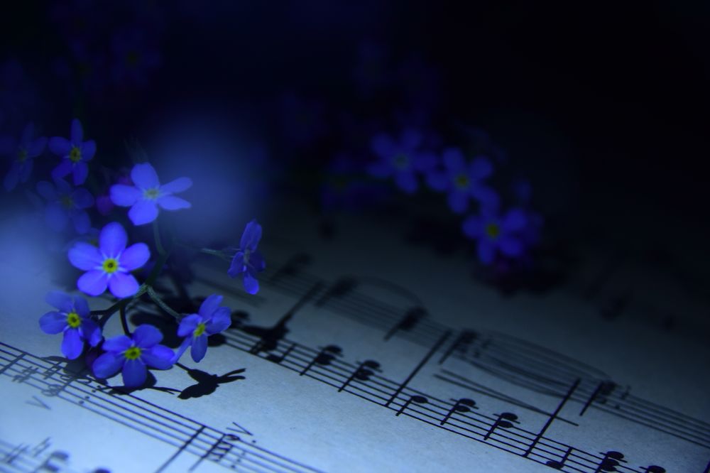 Photograph by Ольга Рыкова