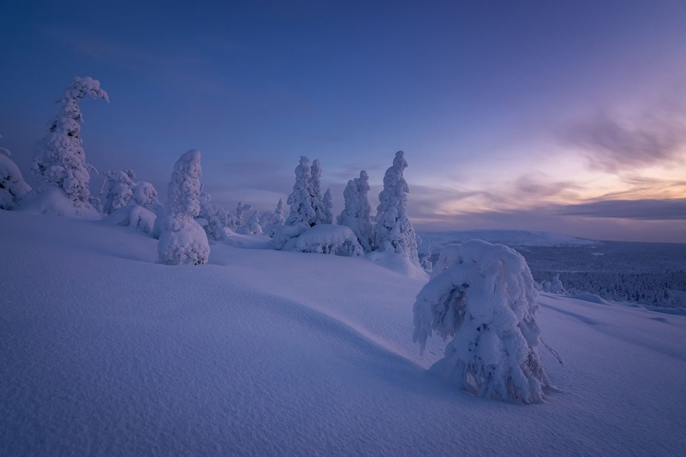 Фотография автора Александр Рудный