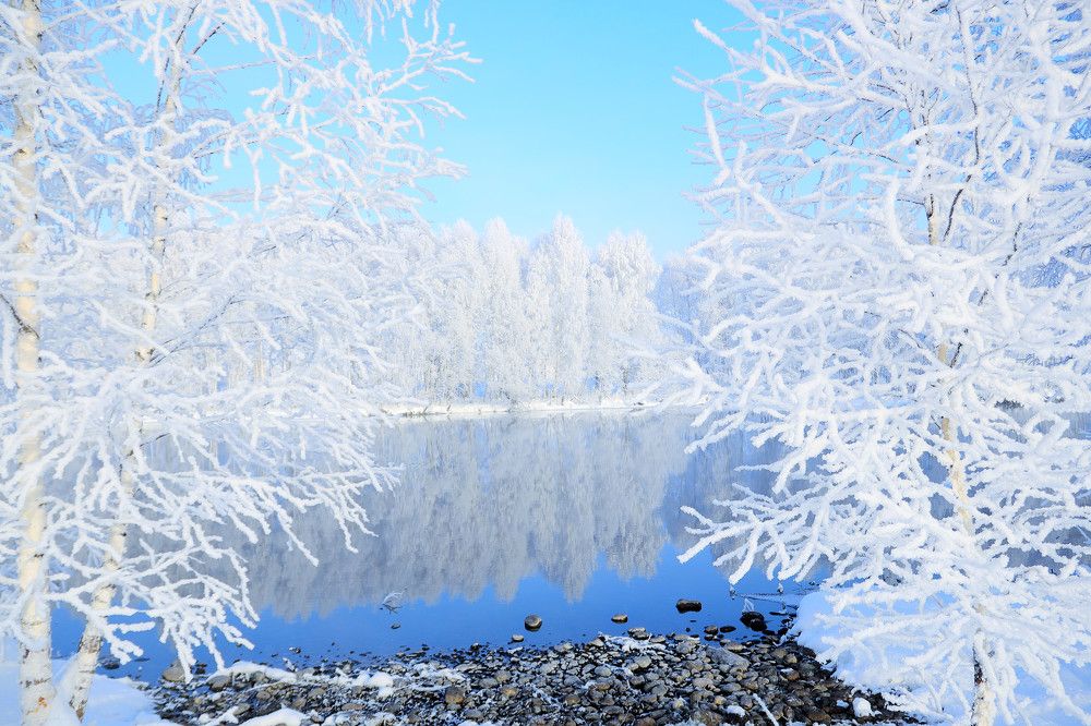 Photograph by Евгения Новоселова