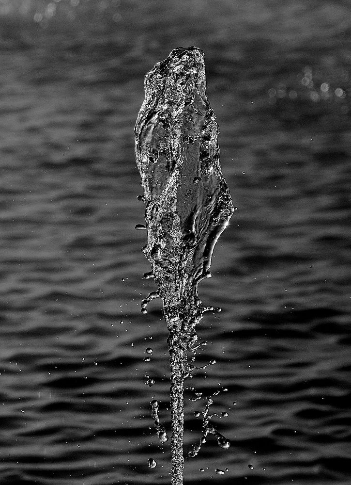 Photograph by Алексей Козлов