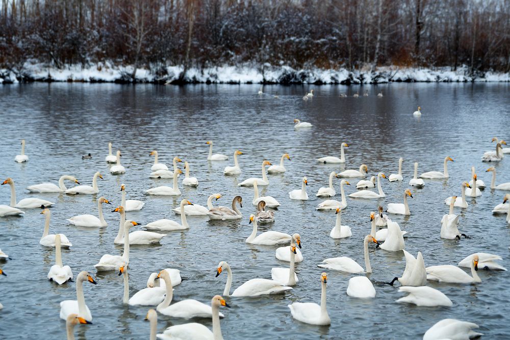 Photograph by Сергей