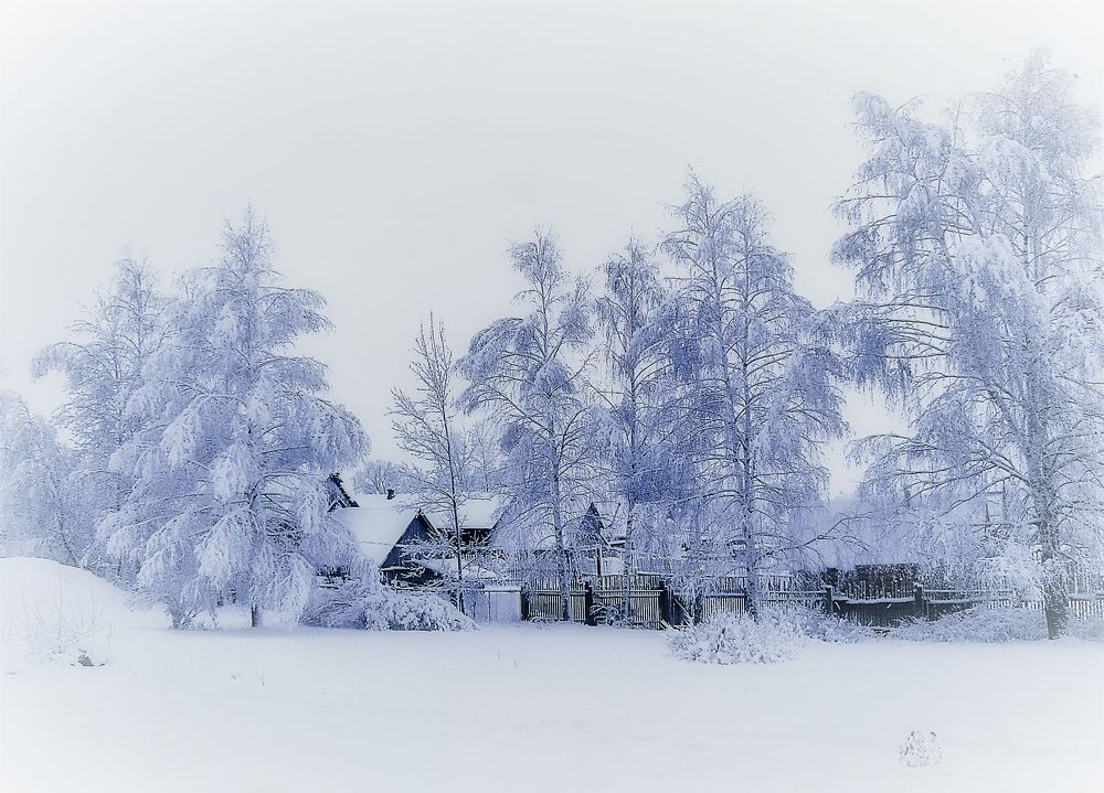 Photograph by Margarita