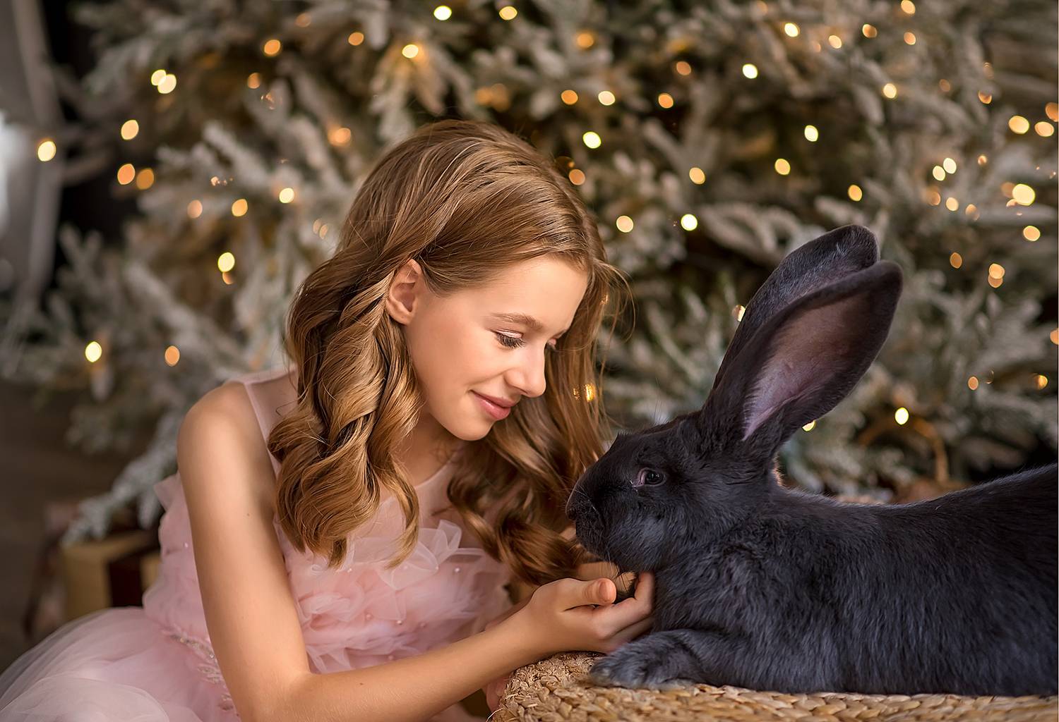 Фотография #8628365