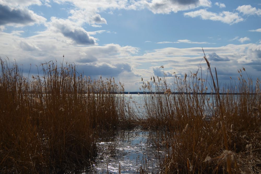 Photograph by Анна Новосельцева