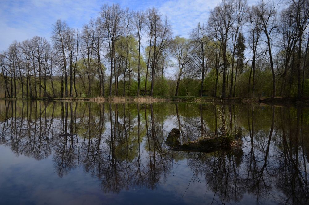 Photograph by Анна Новосельцева