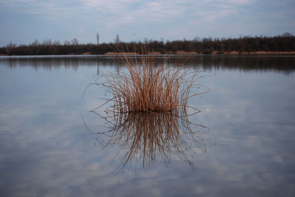 Photograph by Анна Новосельцева