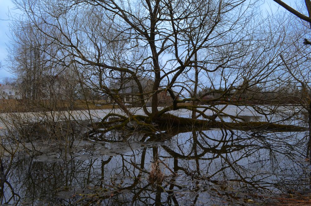 Photograph by Анна Новосельцева