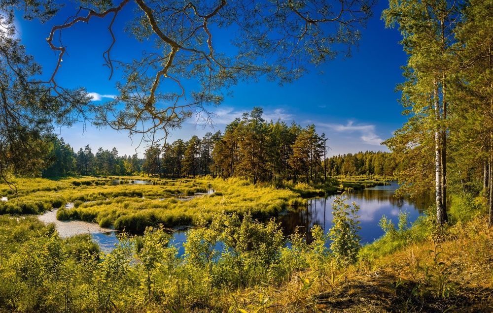 Photograph by Андрей Черкунов