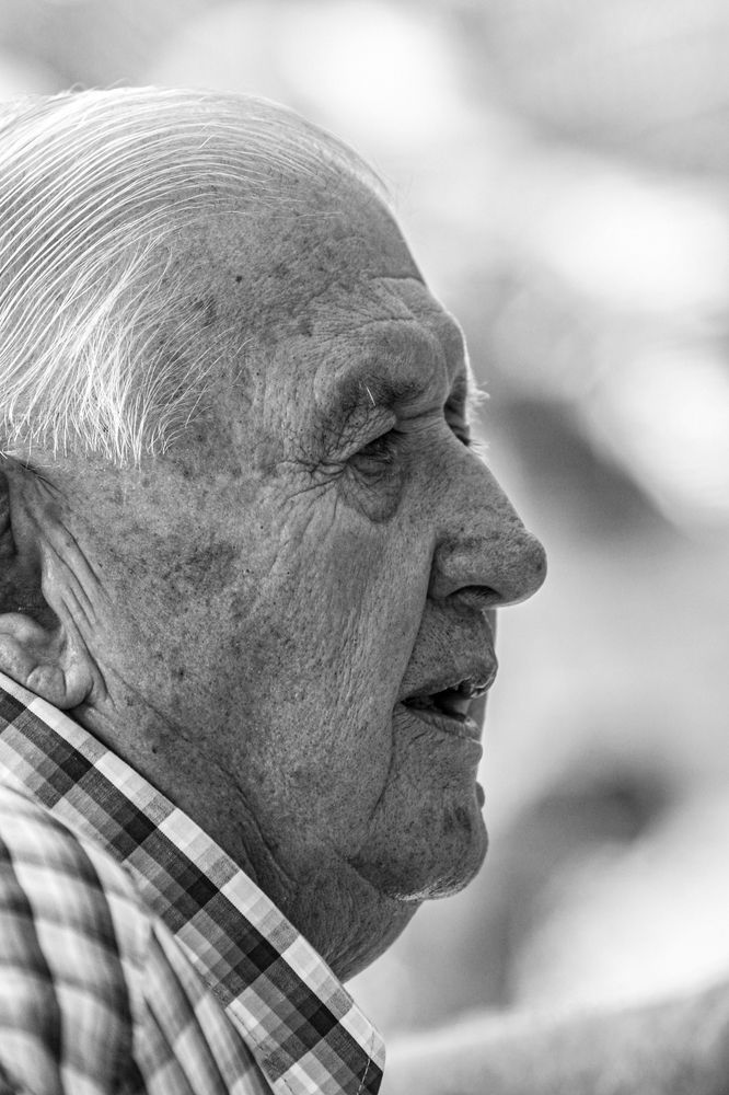 Photograph by Engelbrecht Midge