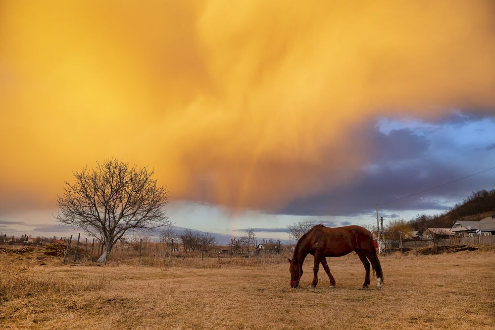Photograph by Tudor Ghioc