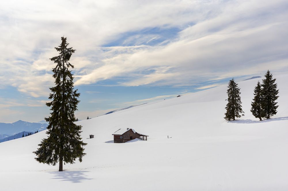 Photograph by Tudor Ghioc