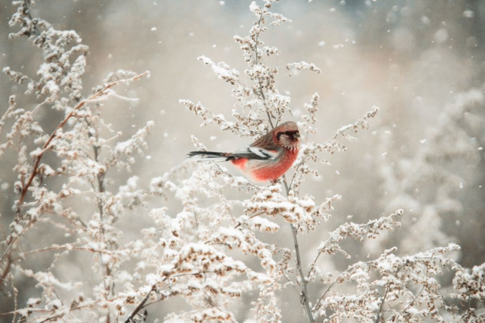 Photograph by Елизавета