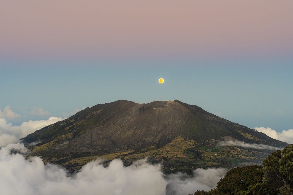 Photograph by Jose Vega