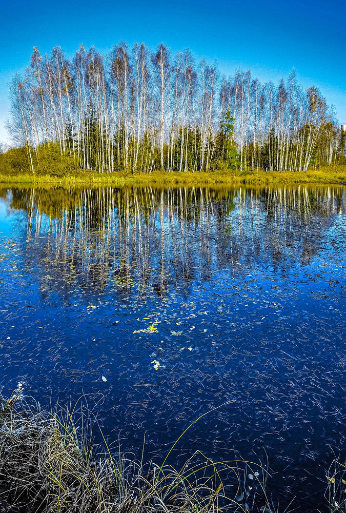 Первый лед на озере