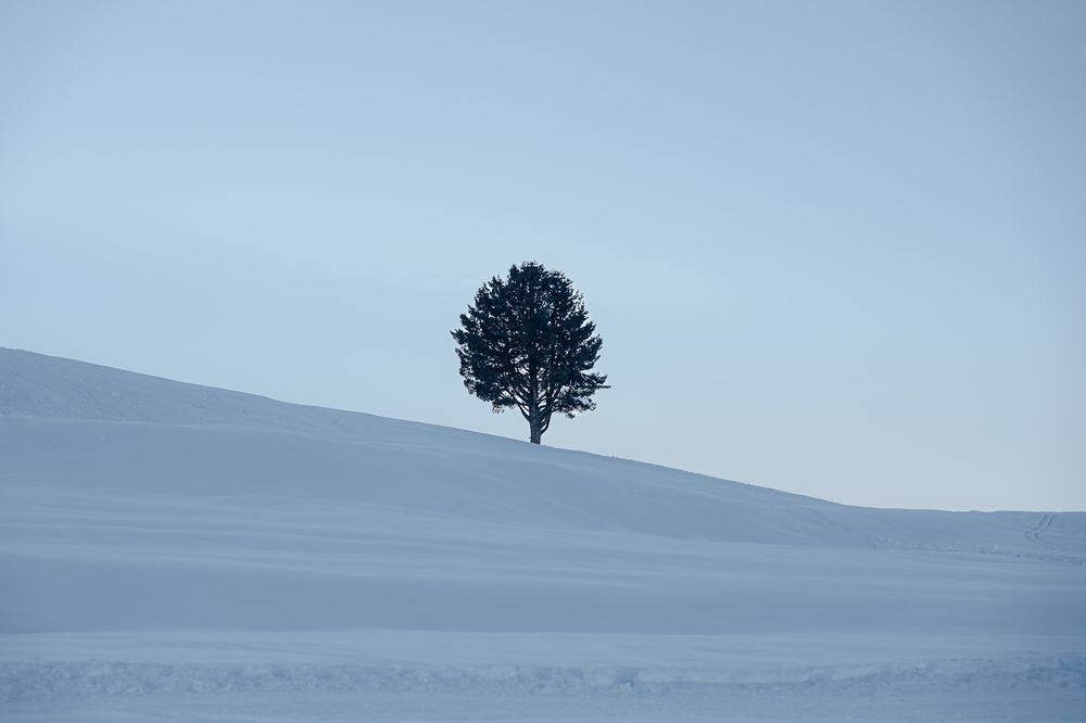 Photograph by Roshani Shah