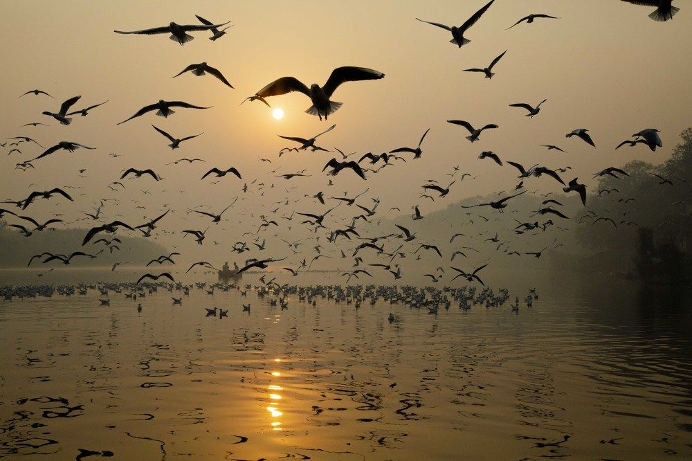 Photograph by Ajith Maniyan