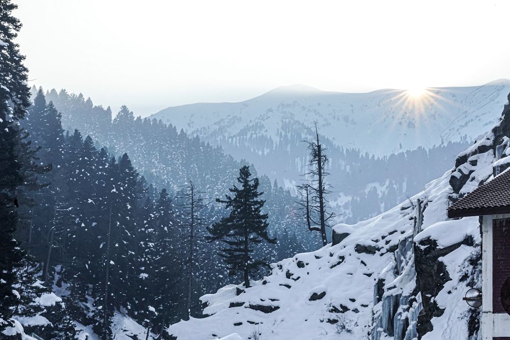 Photograph by Roshani Shah