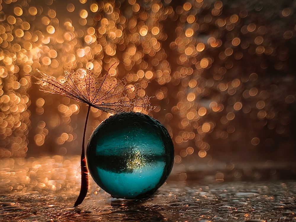 Photograph by Елена Бохолдина