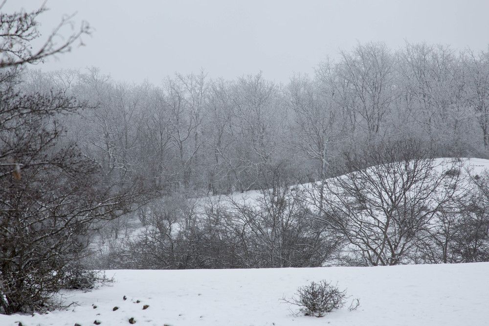 Photograph by Natalya Snegovaya