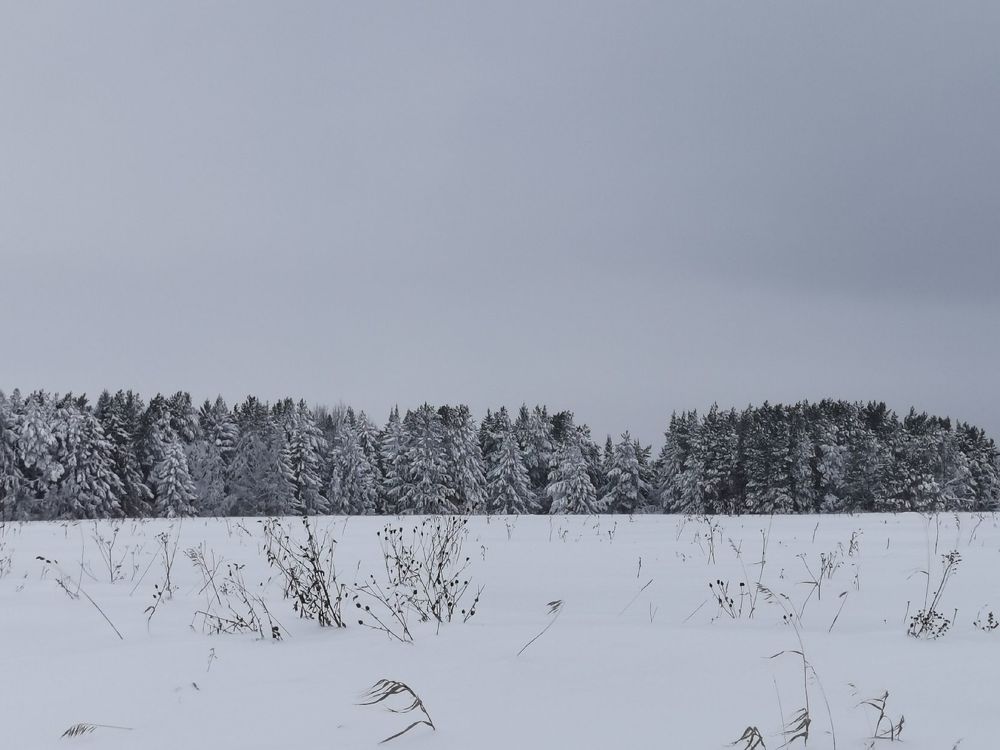 Фотография автора Андрей Богданов