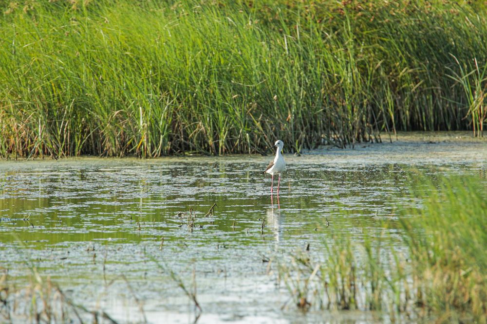 Photograph by Елизавета