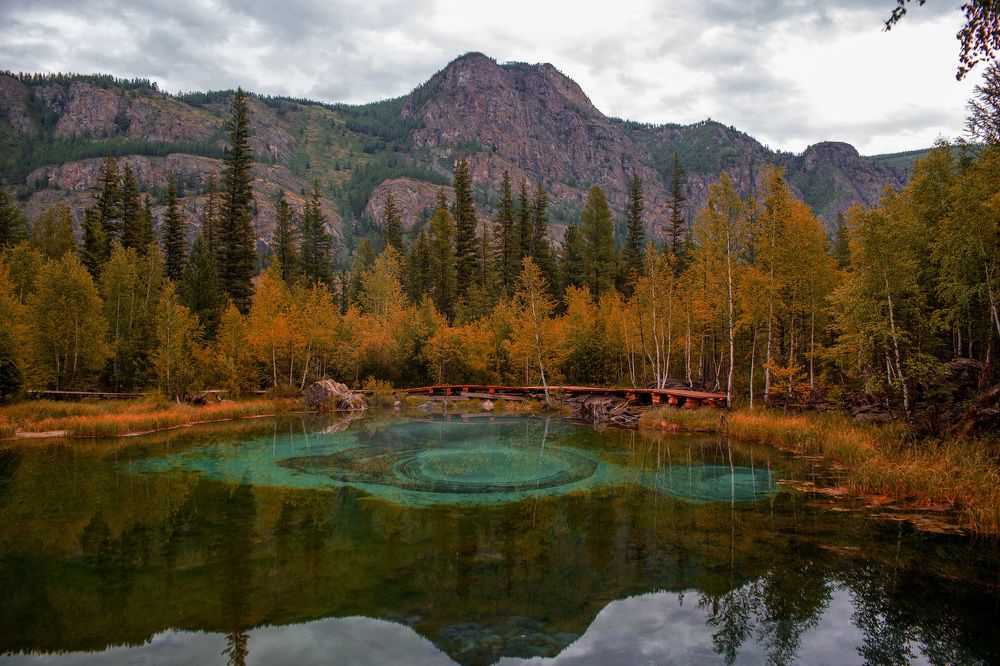 Photograph by Liza Hit