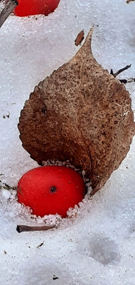 Photograph by Евгения Ульянова