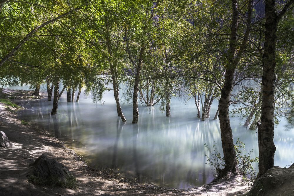 Фотография автора Ринат Хайбулин